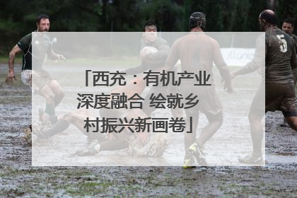 西充：有机产业深度融合 绘就乡村振兴新画卷