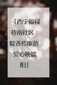 西宁福禄巷南社区：粽香传廉韵 党心映端阳