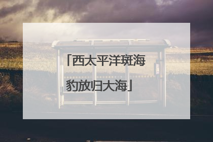 西太平洋斑海豹放归大海