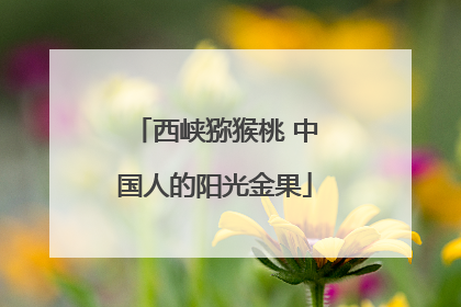 西峡猕猴桃 中国人的阳光金果