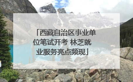 西藏自治区事业单位笔试开考 林芝就业服务亮点频现