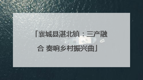襄城县湛北镇：三产融合 奏响乡村振兴曲
