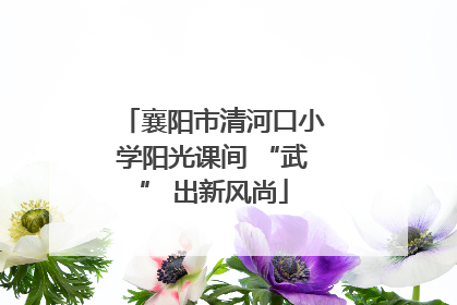 襄阳市清河口小学阳光课间 “武” 出新风尚
