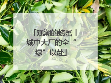观潮的螃蟹丨城中大厂的全“绿”以赴