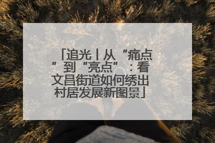 追光丨从“痛点”到“亮点”：看文昌街道如何绣出村居发展新图景