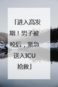 进入高发期！男子被咬后，紧急送入ICU抢救