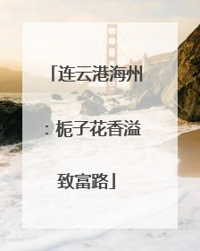 连云港海州：栀子花香溢致富路