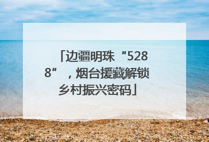 边疆明珠“5288”，烟台援藏解锁乡村振兴密码