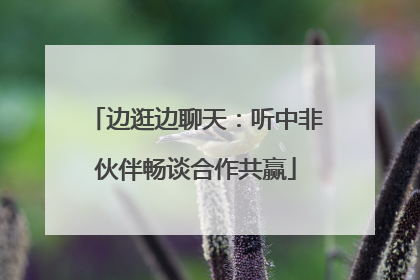边逛边聊天:听中非伙伴畅谈合作共赢