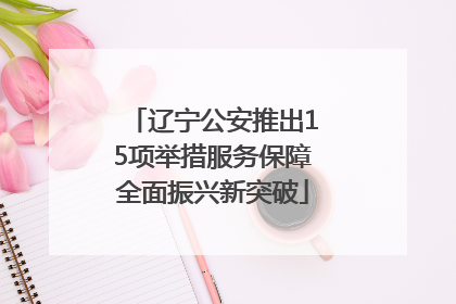 辽宁公安推出15项举措服务保障全面振兴新突破