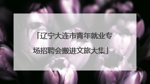 辽宁大连市青年就业专场招聘会搬进文旅大集