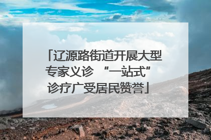 辽源路街道开展大型专家义诊 “一站式”诊疗广受居民赞誉