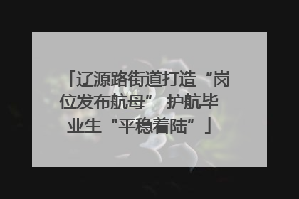 辽源路街道打造“岗位发布航母” 护航毕业生“平稳着陆”