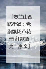 贺兰山西路街道：党旗飘扬芦花情 红歌嘹亮一家亲
