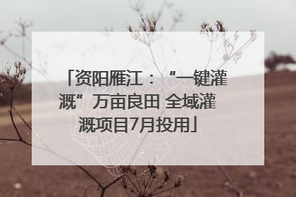 资阳雁江：“一键灌溉”万亩良田 全域灌溉项目7月投用