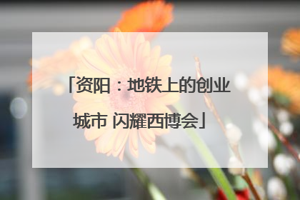 资阳：地铁上的创业城市 闪耀西博会