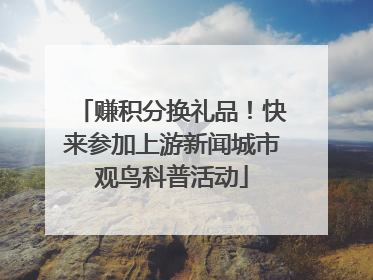 赚积分换礼品！快来参加上游新闻城市观鸟科普活动