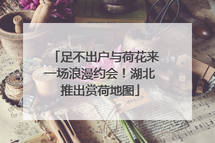 足不出户与荷花来一场浪漫约会！湖北推出赏荷地图