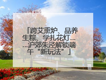 跨艾熏炉、品养生粽、学扎花灯……沪郊朱泾解锁端午“新玩法”