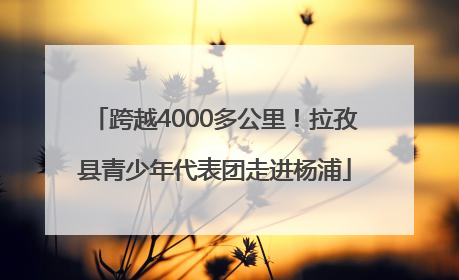 跨越4000多公里！拉孜县青少年代表团走进杨浦