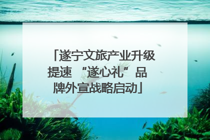 遂宁文旅产业升级提速 “遂心礼”品牌外宣战略启动