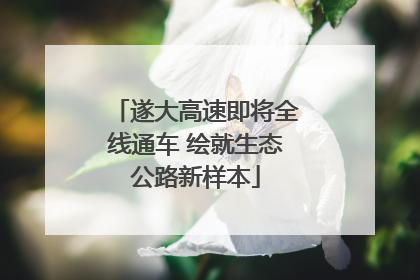 遂大高速即将全线通车 绘就生态公路新样本