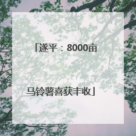 遂平：8000亩马铃薯喜获丰收