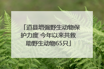 道县增强野生动物保护力度 今年以来共救助野生动物65只