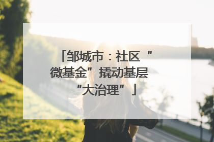 邹城市：社区“微基金”撬动基层“大治理”