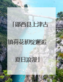 郧西县上津古镇荷花初绽邂逅夏日浪漫