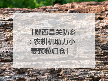 郧西县关防乡：农耕机助力小麦颗粒归仓