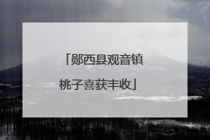 郧西县观音镇桃子喜获丰收