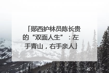 郧西护林员陈长贵的“双面人生”：左手青山，右手亲人