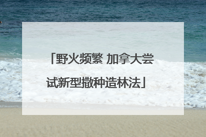 野火频繁 加拿大尝试新型撒种造林法