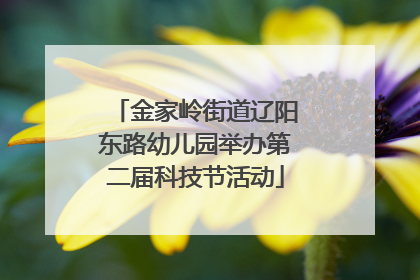 金家岭街道辽阳东路幼儿园举办第二届科技节活动