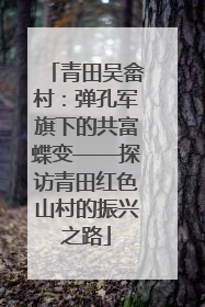 青田吴畲村：弹孔军旗下的共富蝶变——探访青田红色山村的振兴之路