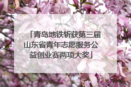 青岛地铁斩获第三届山东省青年志愿服务公益创业赛两项大奖