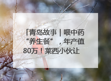 青岛故事｜喂中药“养生餐”，年产值80万！莱西小伙让“自家产”锦鲤“游”向全国