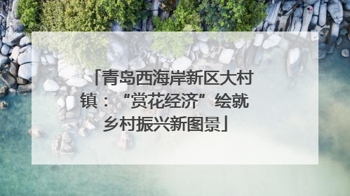 青岛西海岸新区大村镇：“赏花经济”绘就乡村振兴新图景