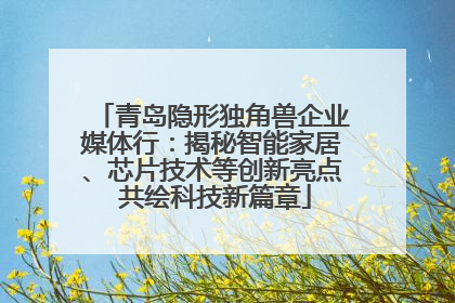 青岛隐形独角兽企业媒体行：揭秘智能家居、芯片技术等创新亮点 共绘科技新篇章