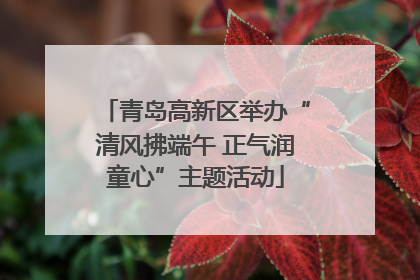 青岛高新区举办“清风拂端午 正气润童心”主题活动
