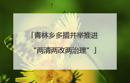 青林乡多措并举推进“两清两改两治理”