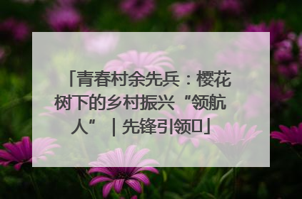 青春村余先兵：樱花树下的乡村振兴“领航人”｜先锋引领⑪