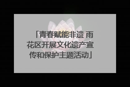 青春赋能非遗 雨花区开展文化遗产宣传和保护主题活动