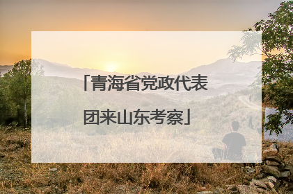 青海省党政代表团来山东考察