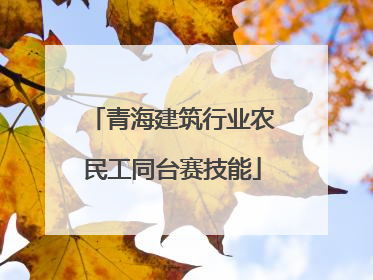 青海建筑行业农民工同台赛技能