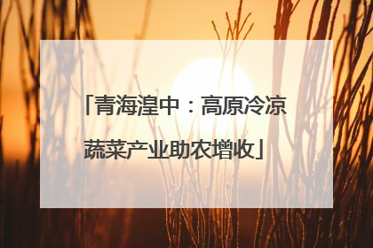 青海湟中：高原冷凉蔬菜产业助农增收