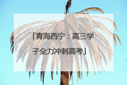青海西宁：高三学子全力冲刺高考
