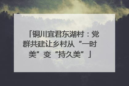 铜川宜君东湖村：党群共建让乡村从“一时美”变“持久美”