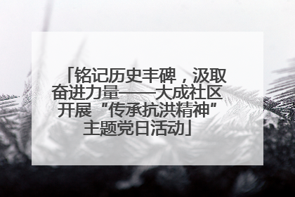 铭记历史丰碑，汲取奋进力量——大成社区开展“传承抗洪精神”主题党日活动